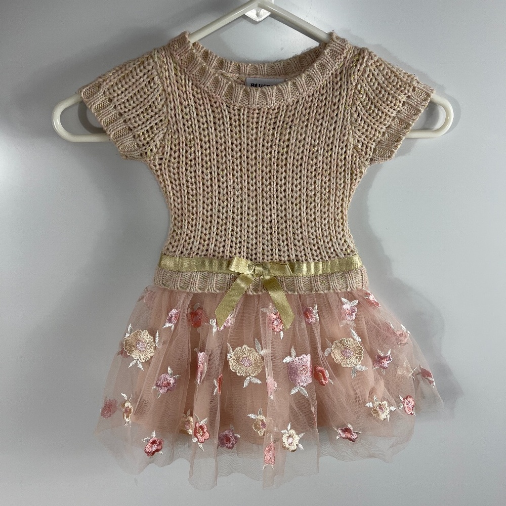 Blueberi Knit and Embroidered Tulle Dressβ 2T